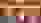 IMG 1731 IMG 1731